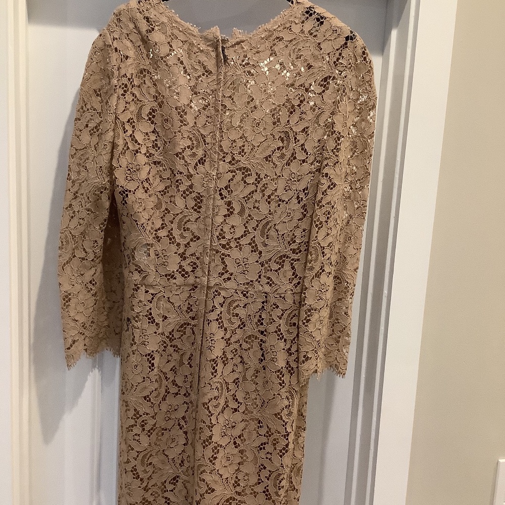 Dolce and Gabbana taupe lace dress size 42 (6)